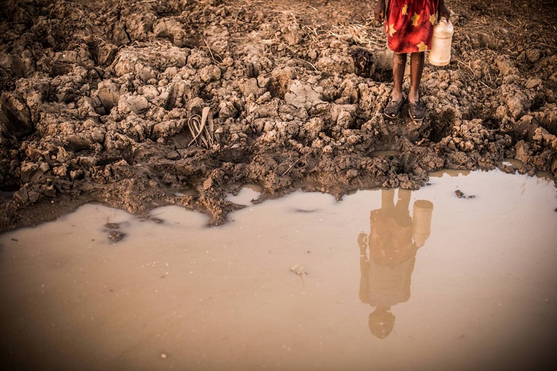 Karnataka Government Offers Compensation and Takes Swift Action in Tragic Contamination Incident