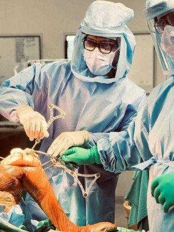 The Precision Revolution; Robotic Joint replacement an Article by Dr Dibya Singha